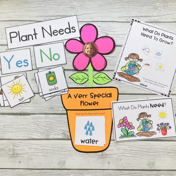 What Plants Need to Grow